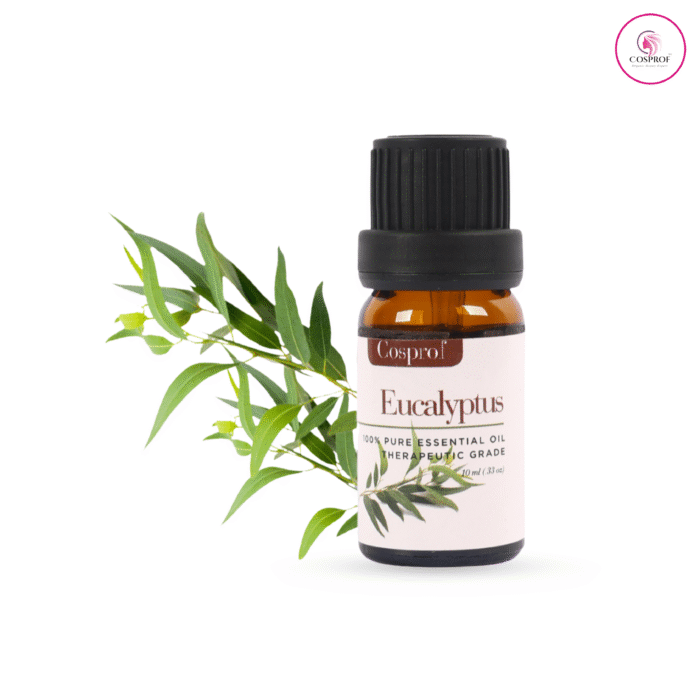 Eucalyptus Essential Oil 10 ml - Image 1
