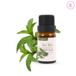 Tea Tree Essential Oil 10 ml