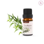 Eucalyptus Essential Oil 10 ml