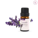 Lavender Essential Oil 10 ml