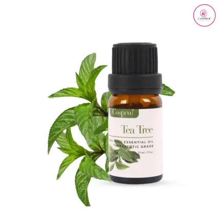 Tea Tree Essential Oil 10 ml