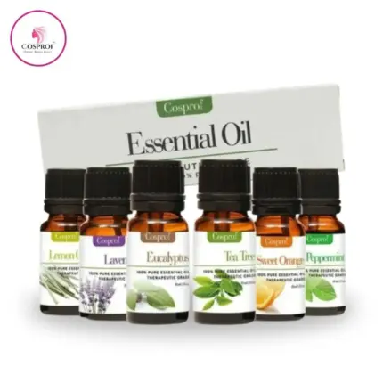 Essential Oil Combo 6 in 1